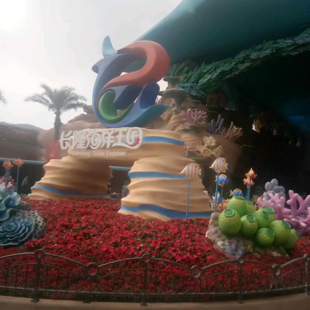 乌龟一家，去看海