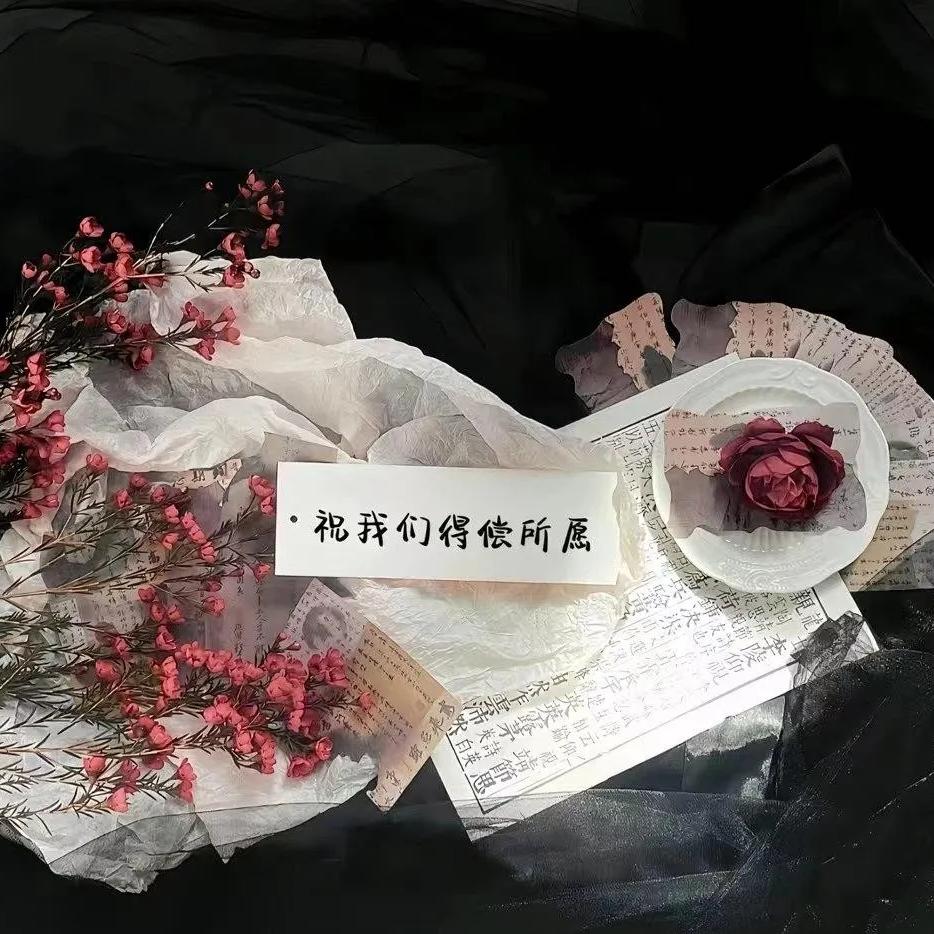 ಇ᭄命里不缺狗࿐