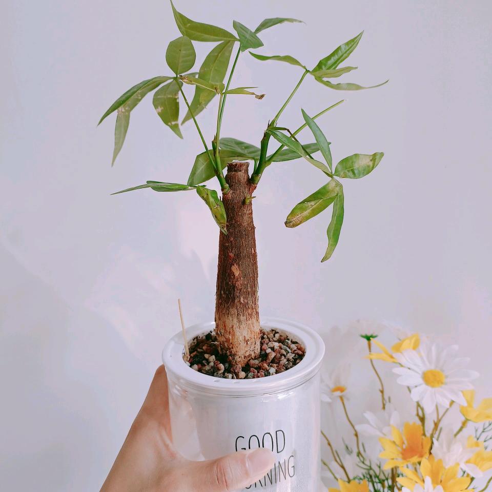 一二一一