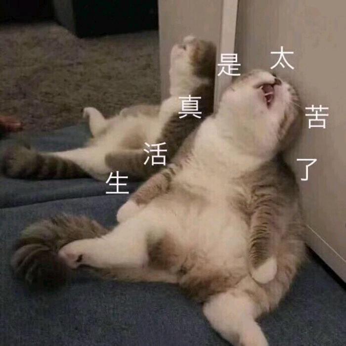 不要熬夜