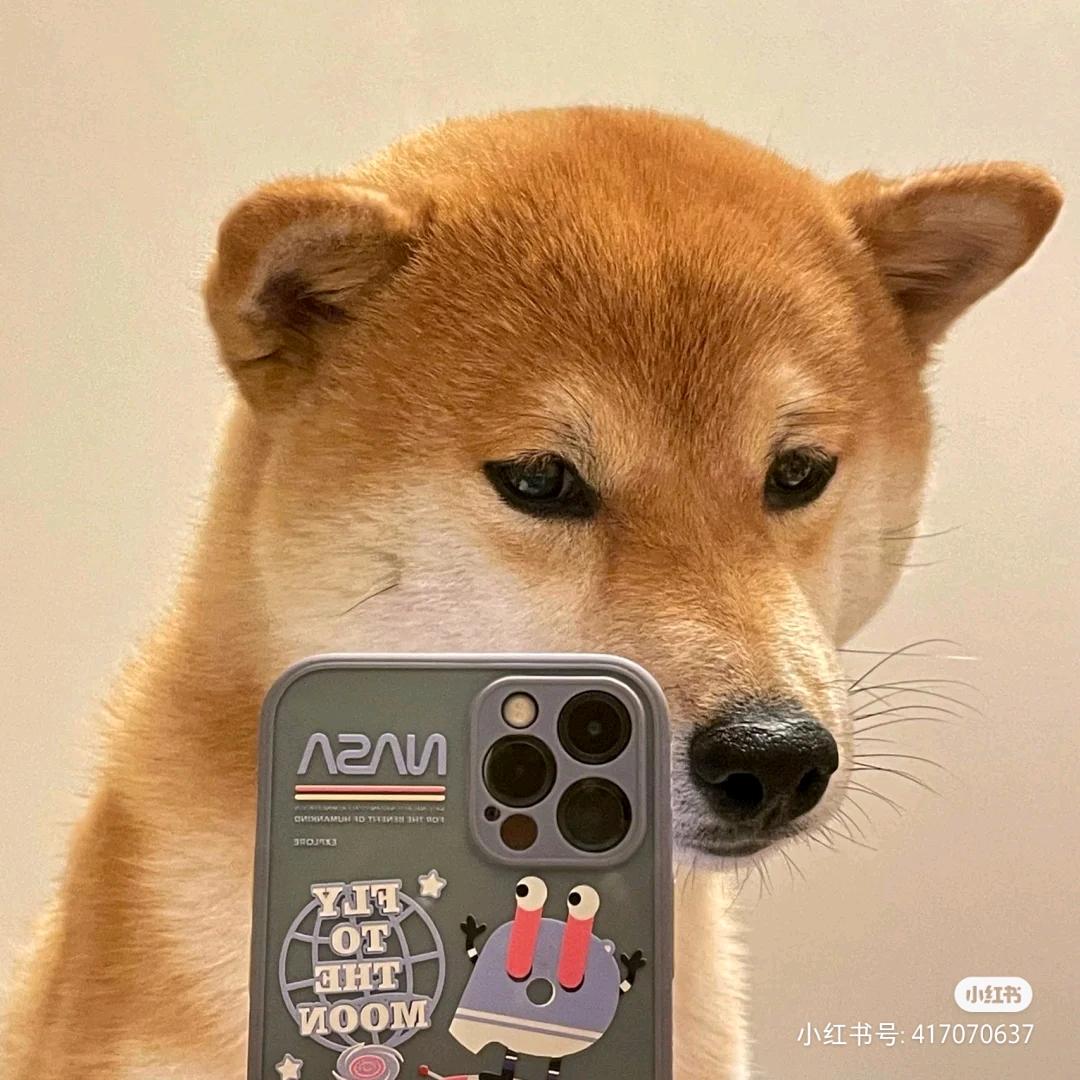 。。。