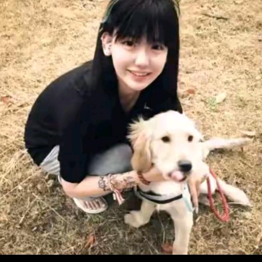 安安好物优选