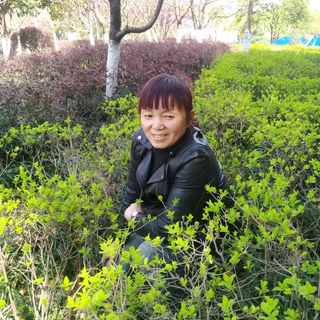 开心果