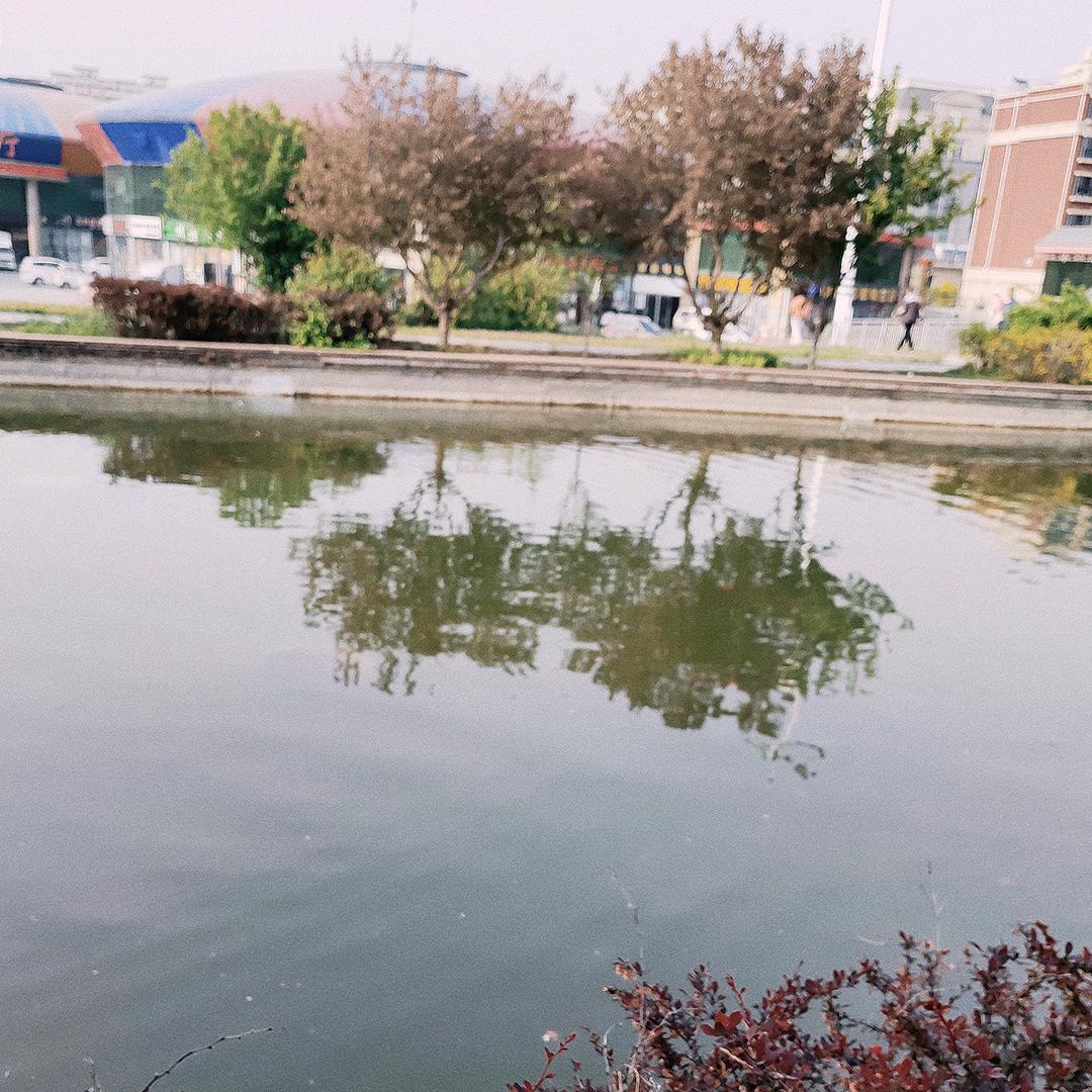 招财进宝_21601216