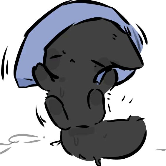 小Y