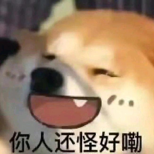 你人还怪好嘞