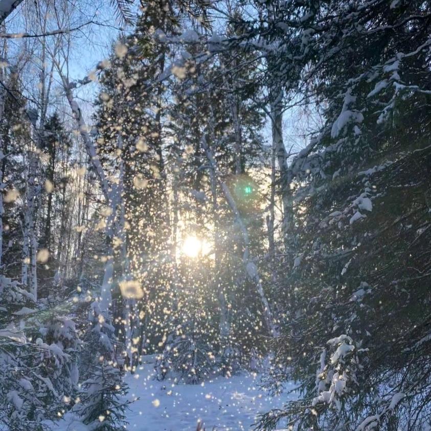 春之雪