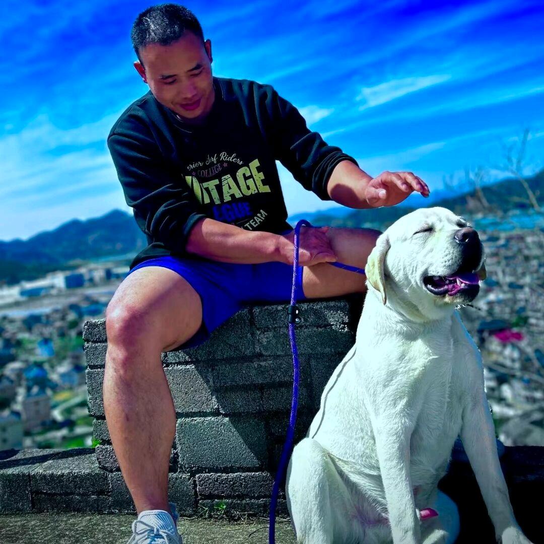 甲甲
