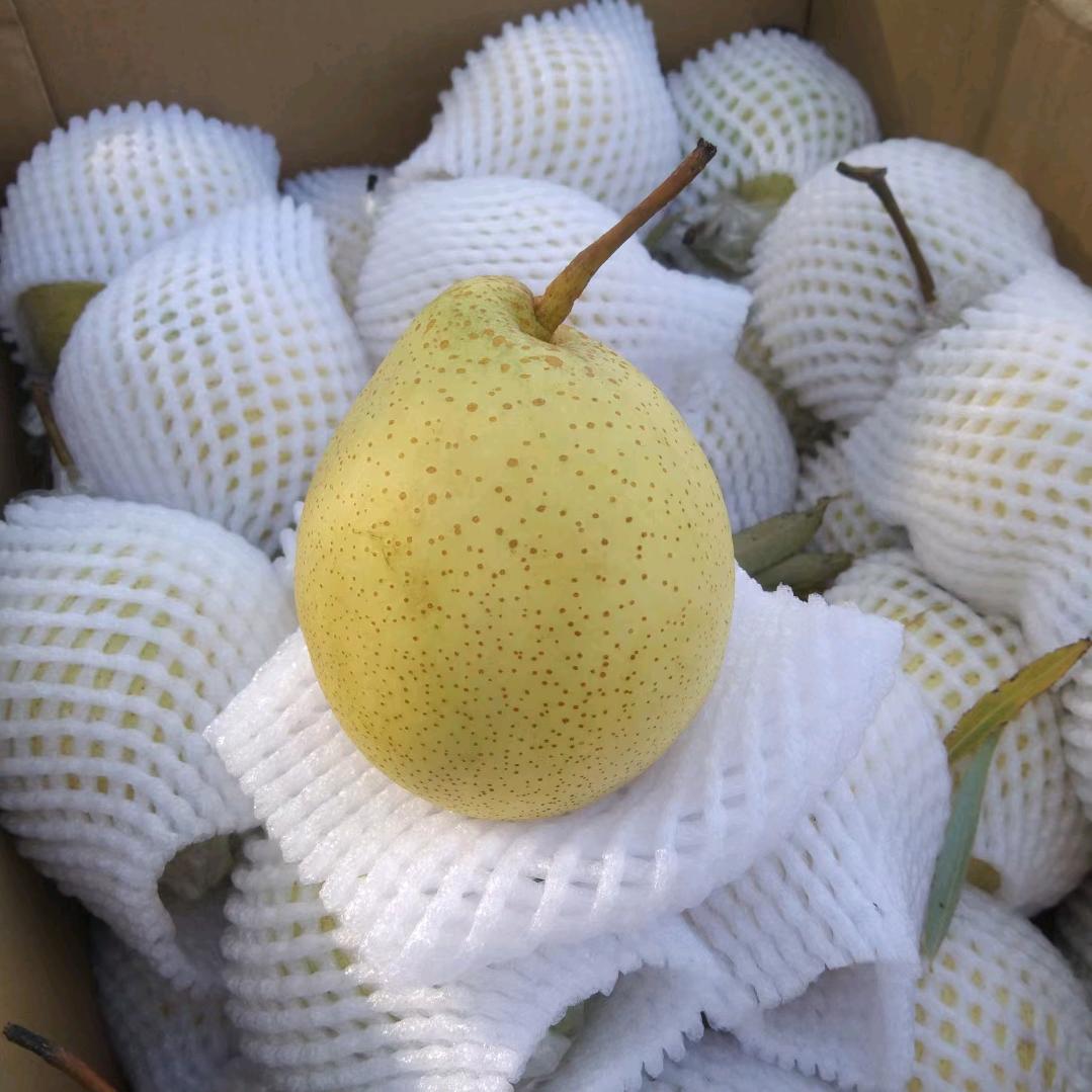 卖梨小哥<小号>