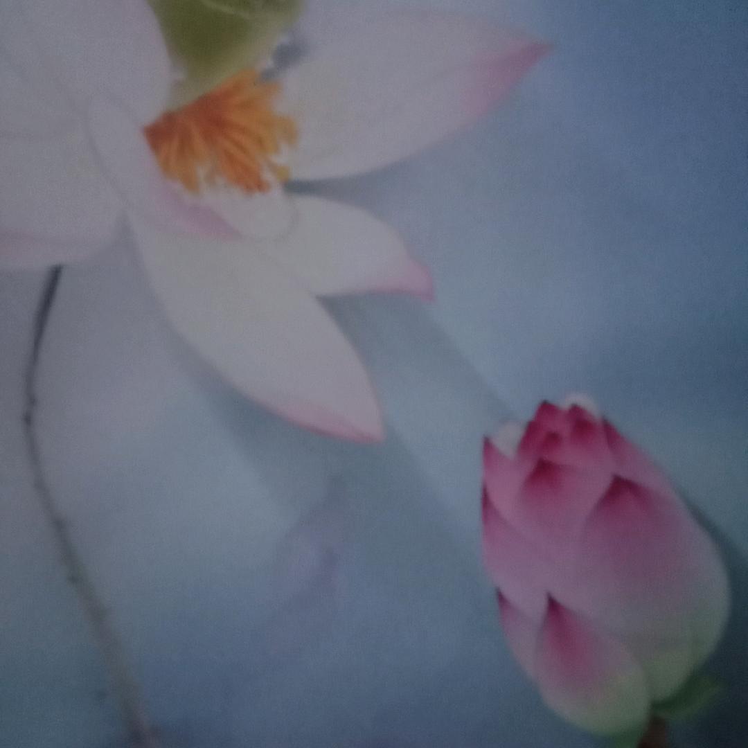 @小黑