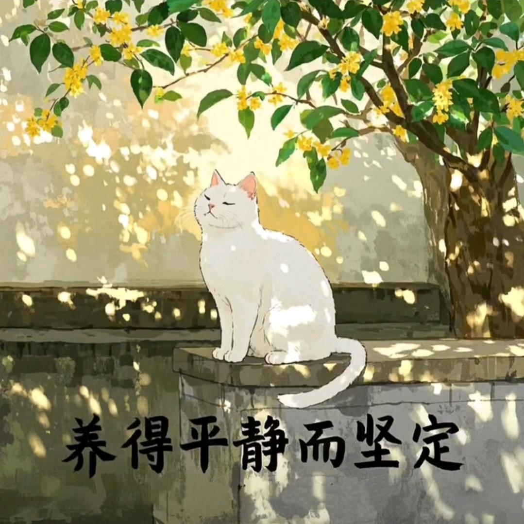 索菲说房