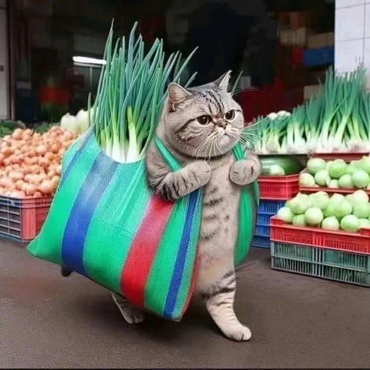 努力向上的人