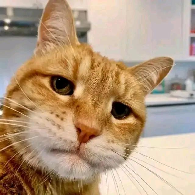 又不是不能用 λ