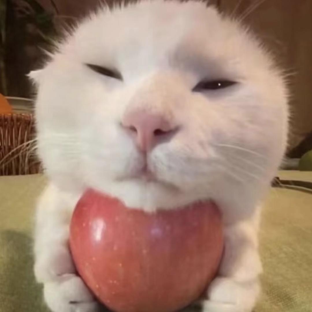 悲伤猪大肠