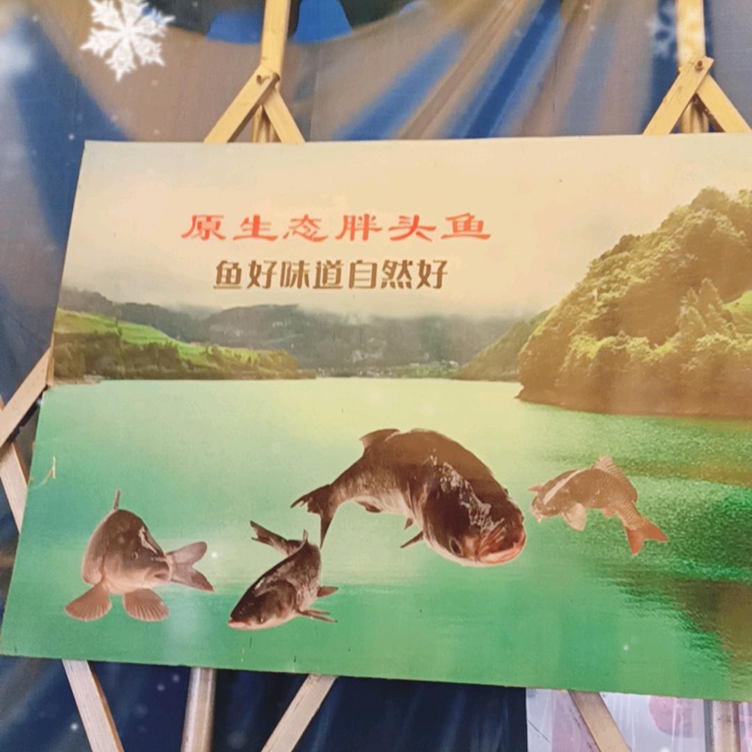 西北狼