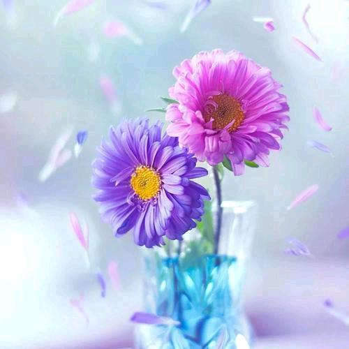 💞ꦿ᭄ღ浅᭄笑安ཽ࿆然᭄?