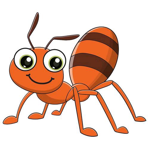 蚂蚁🐜