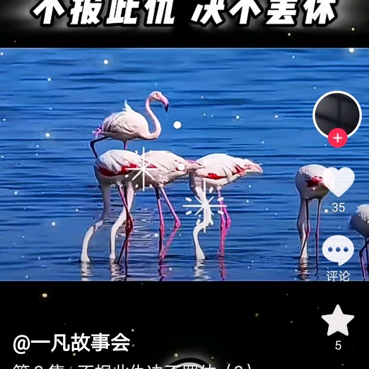 你不懂我