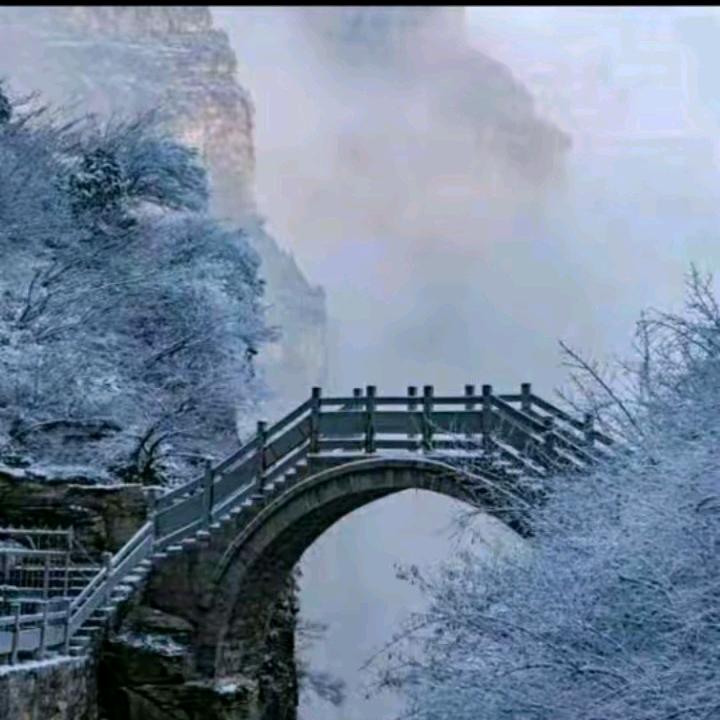 晨望合伙人