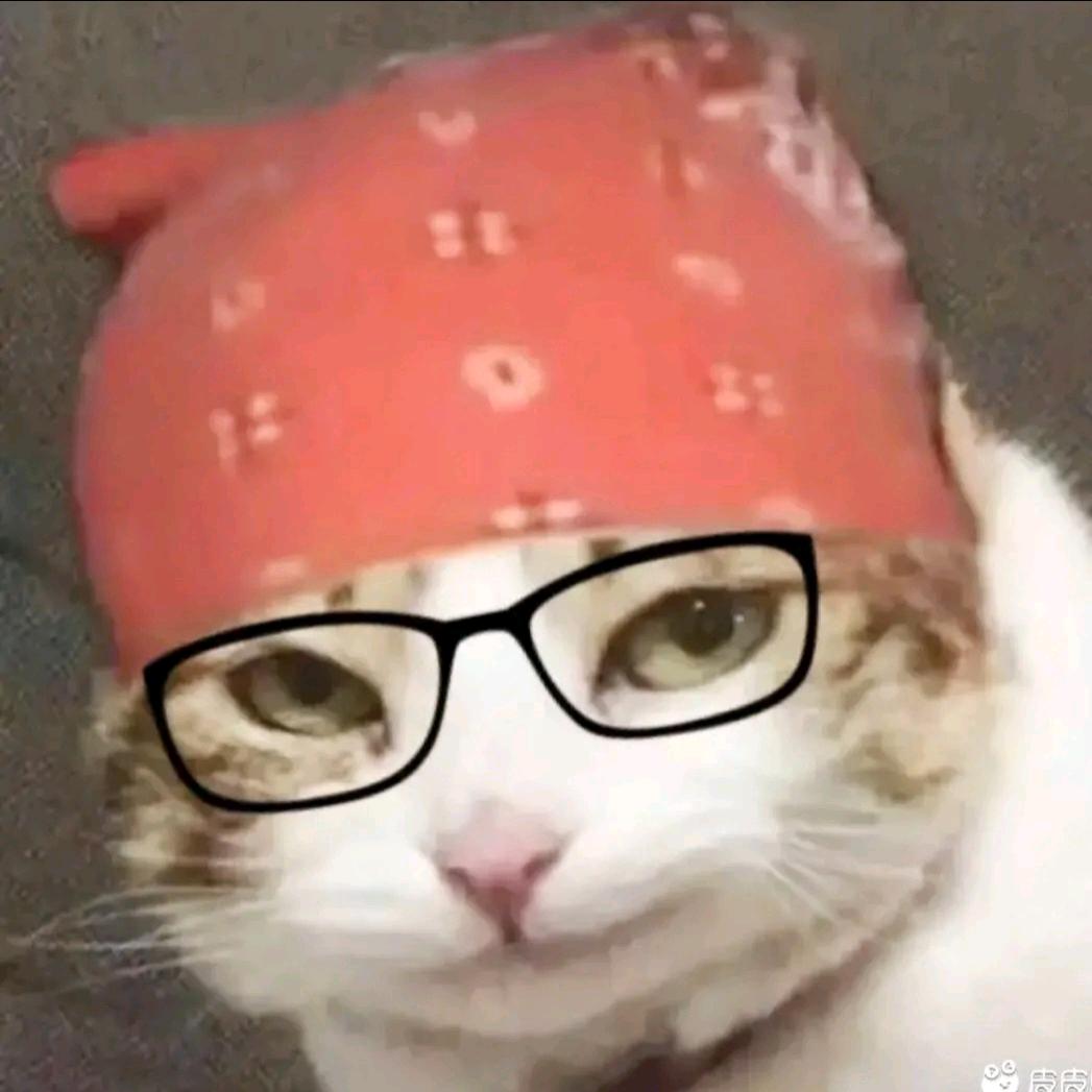 破B网络真有意思