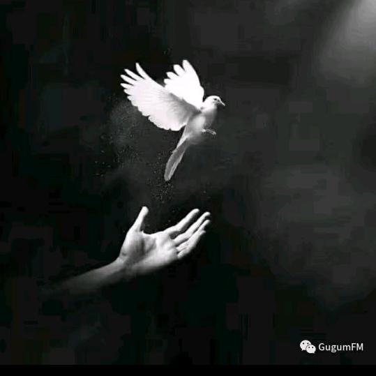 开心🌻