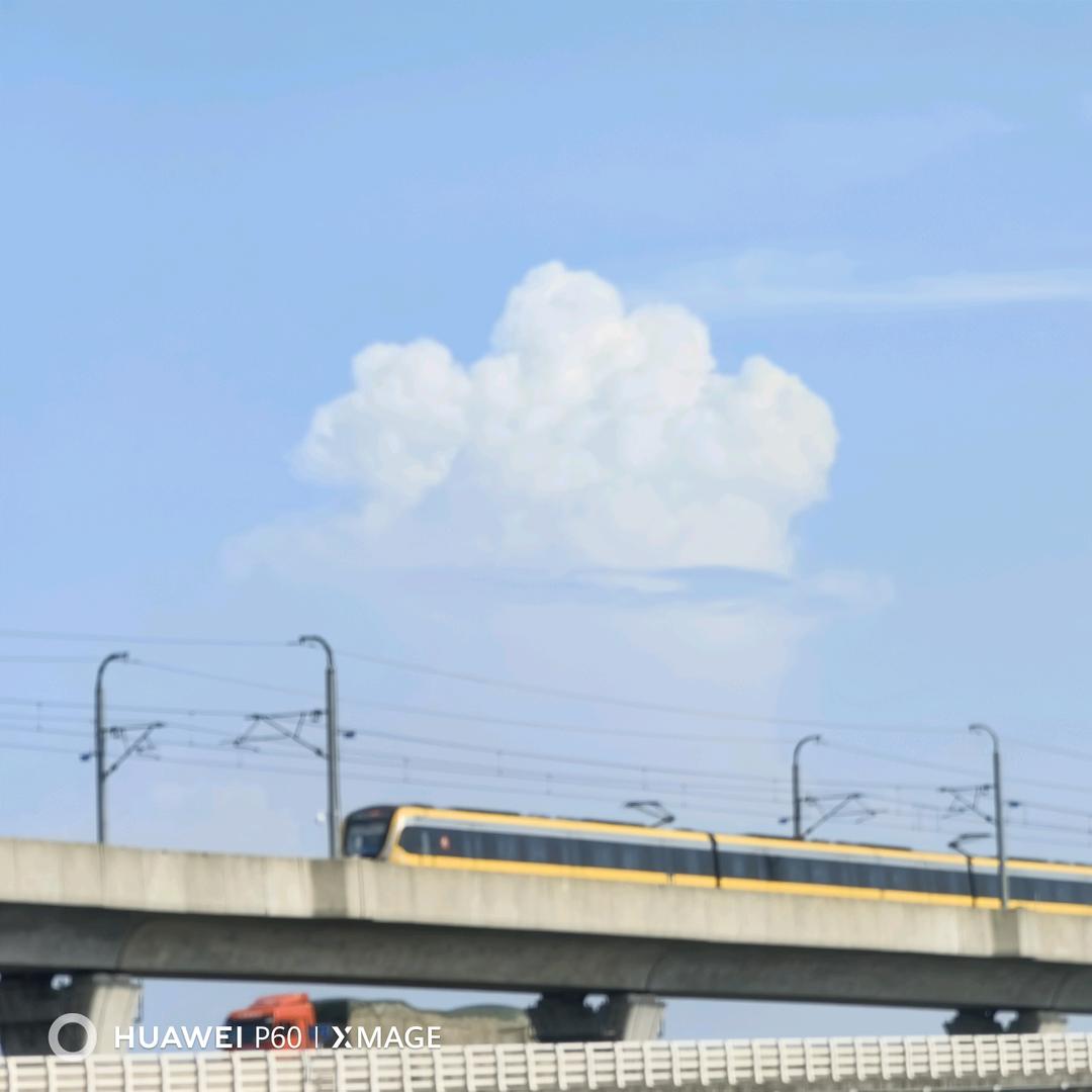 大大怪