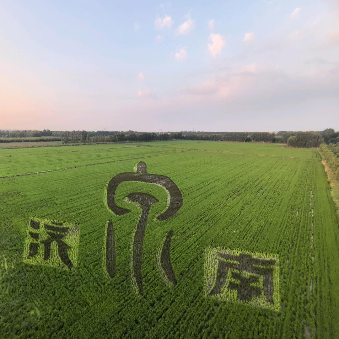 小龙人
