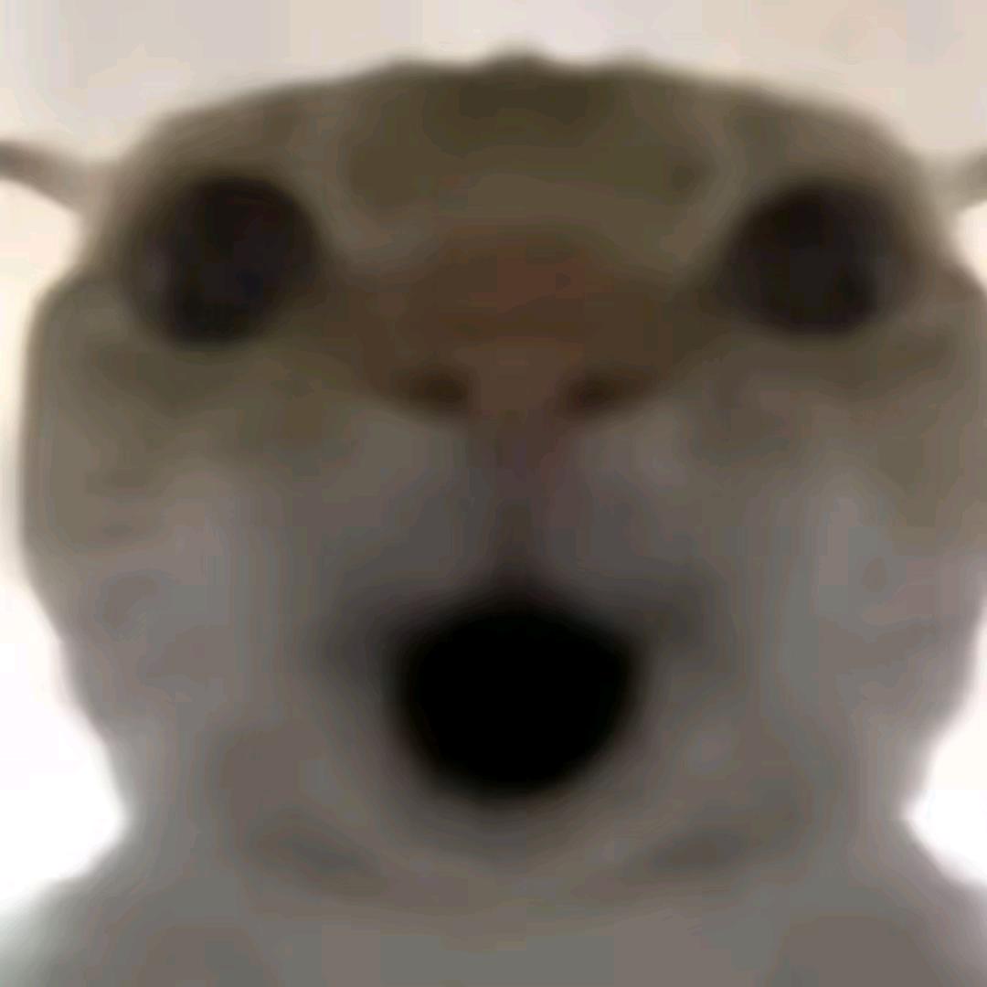 桃下千春(香猫)