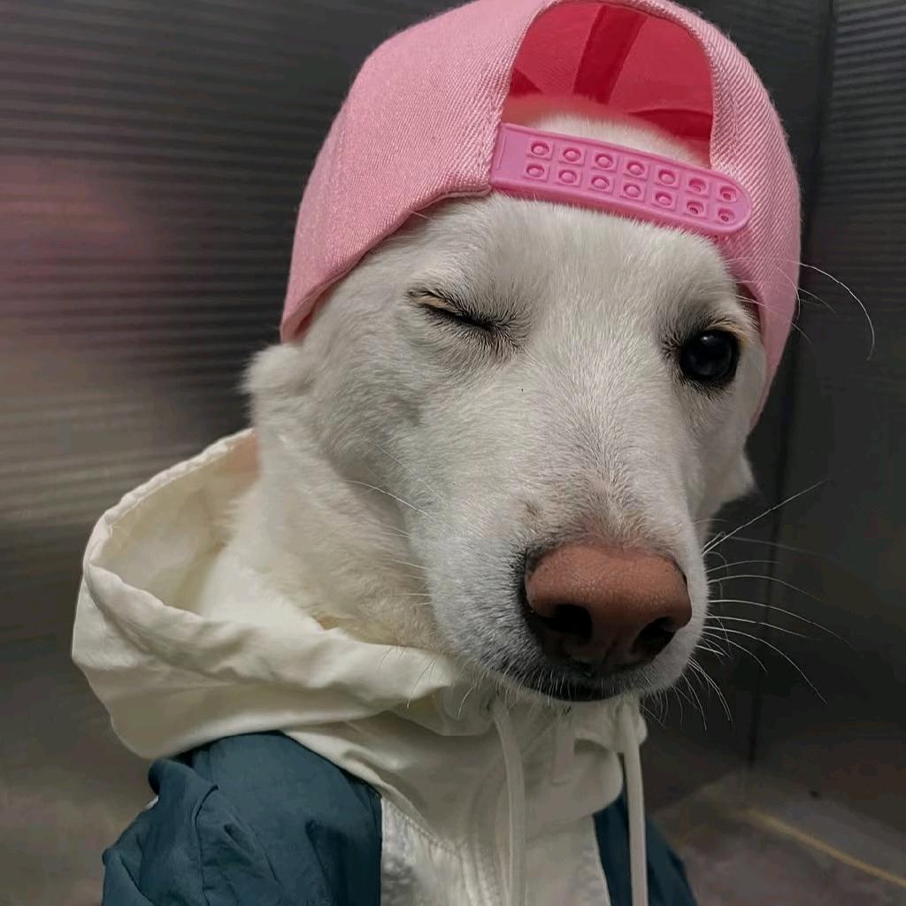一箱橙汁