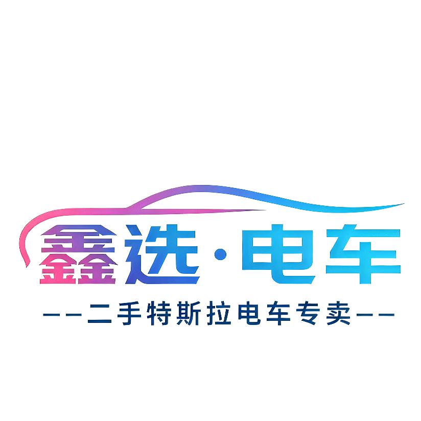 鑫选电车(临沂特斯拉）