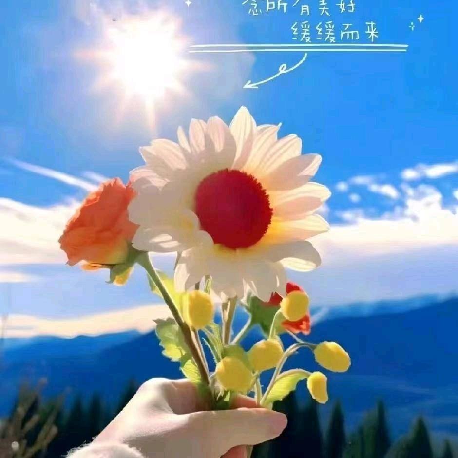 岗李万三农贸市场二手家具厨具家电