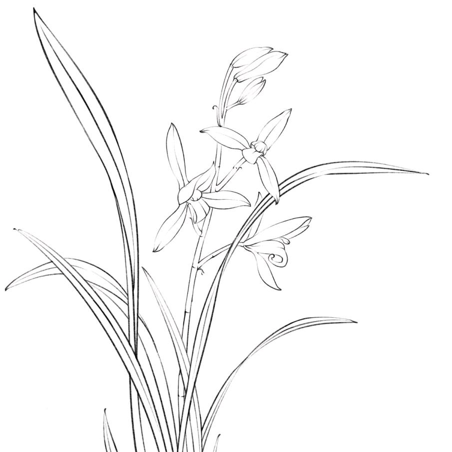 ༺  ༒   兰  ༒  ༻