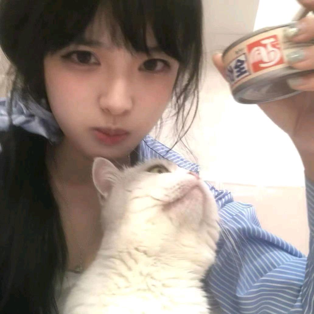 想要小猫