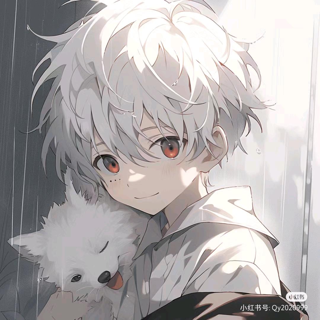 沧月情