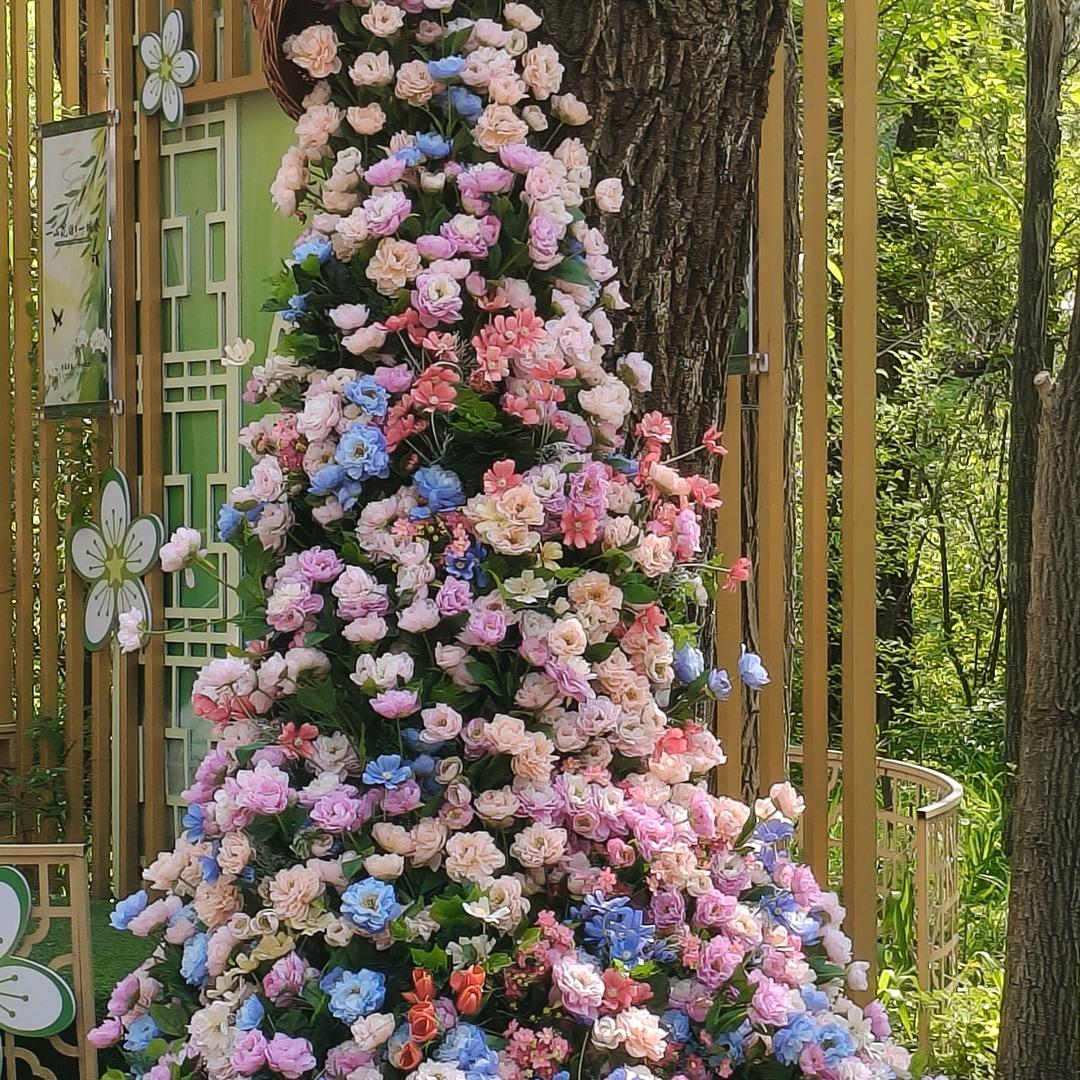 蛋糕