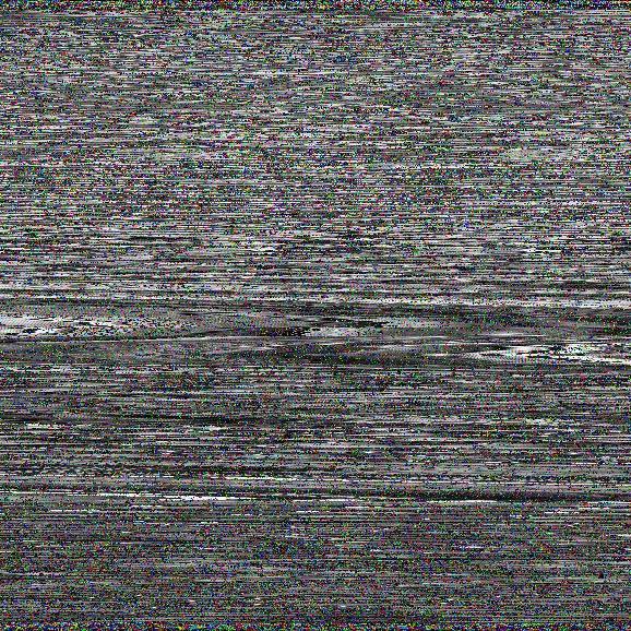 潘义浩五音不全小号