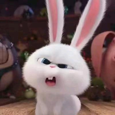 后来我们什么都有了，却没有了我们