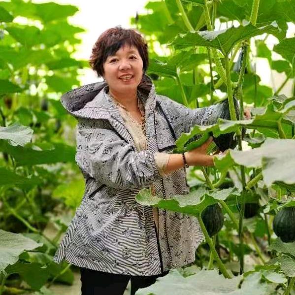 百誉农业的沙漠玫瑰