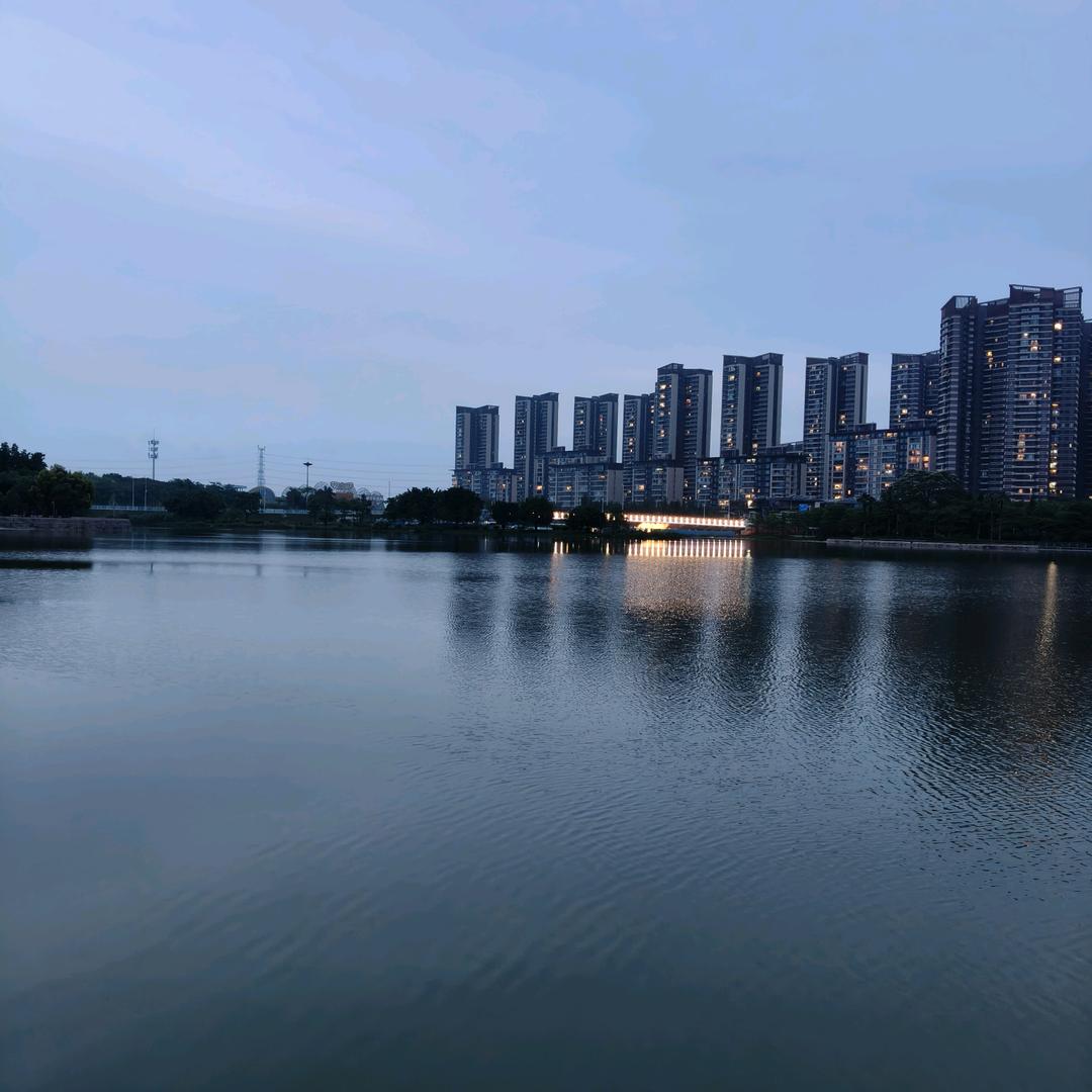 🌹🌹抉择❤️❤️无悔🔥🔥🔥