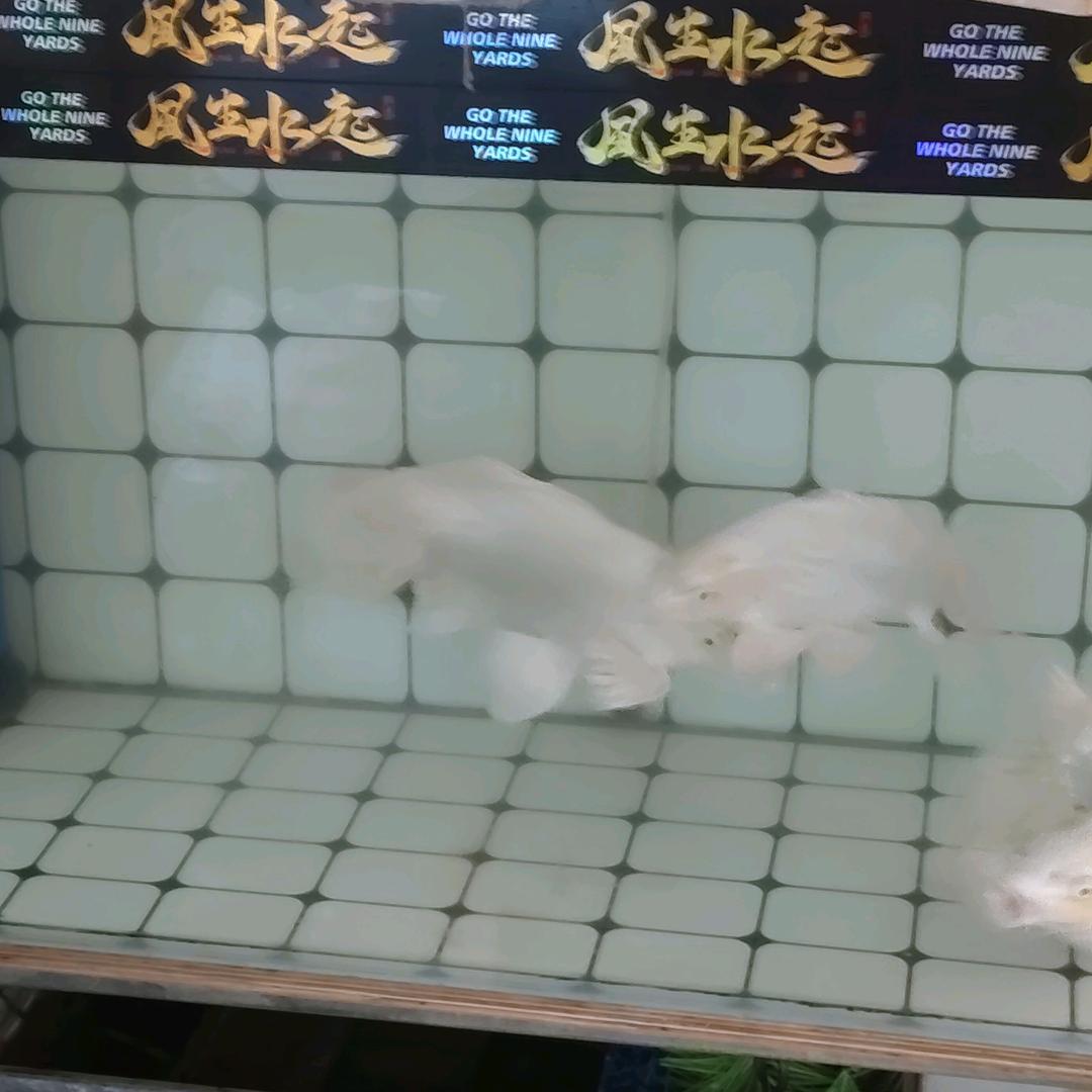 万声