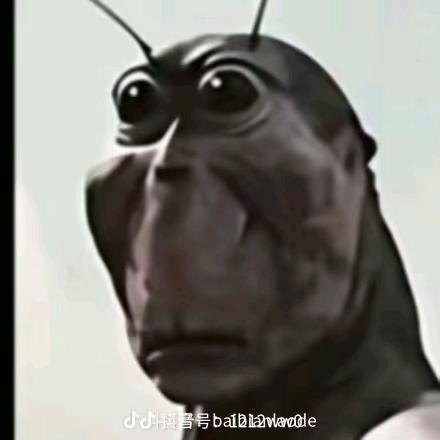 是蛋糕呢