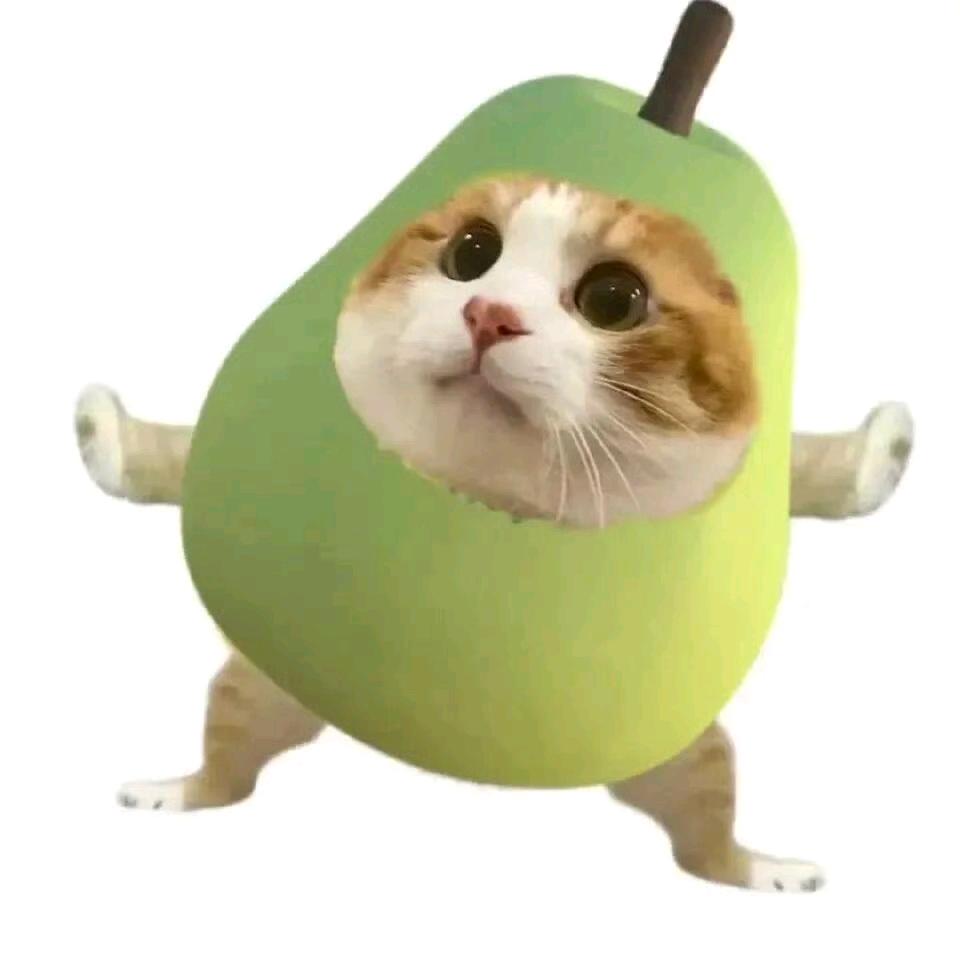 一只梨子🍐