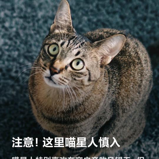 坚强