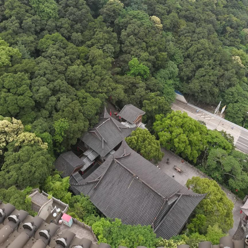 谭指之间
