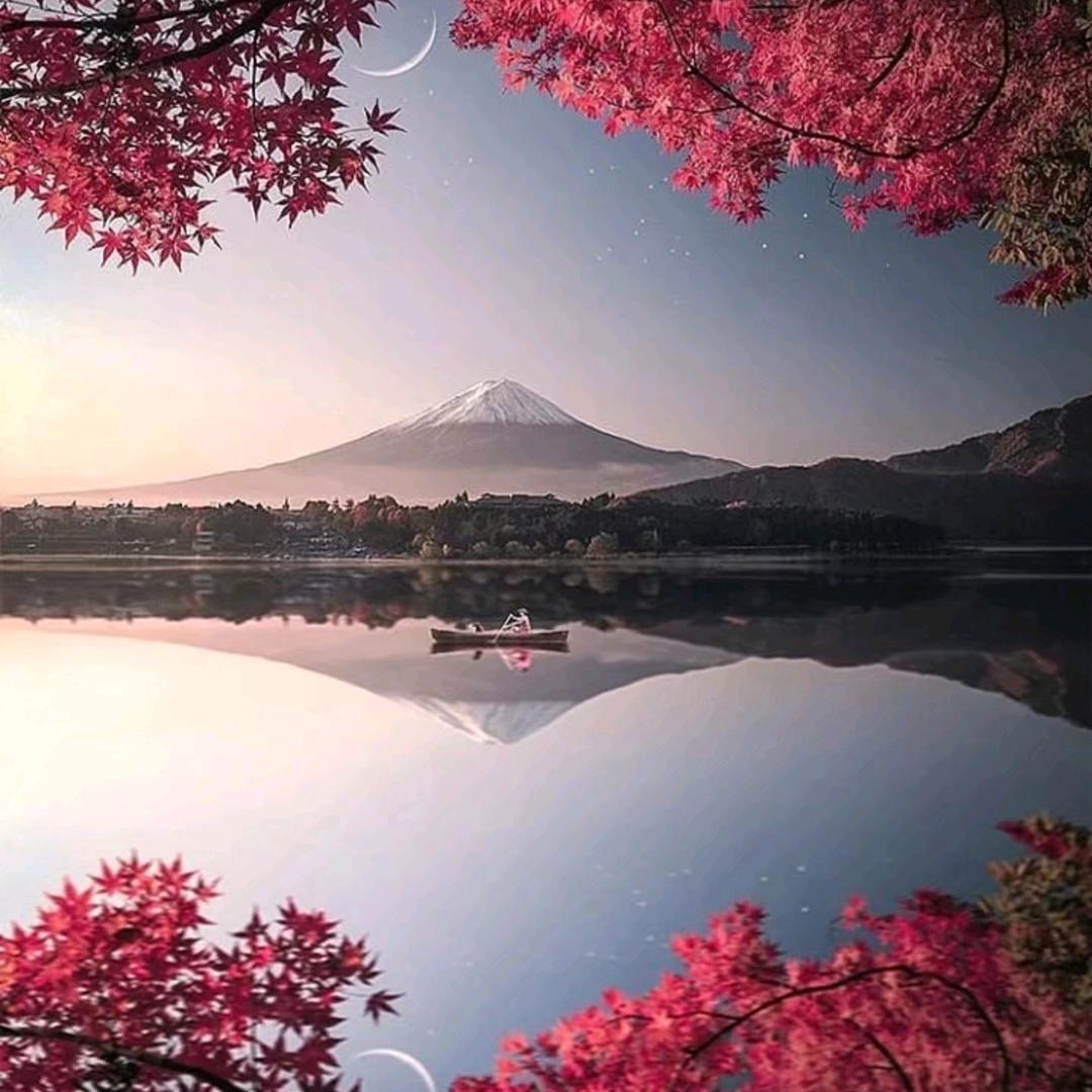 椿椿