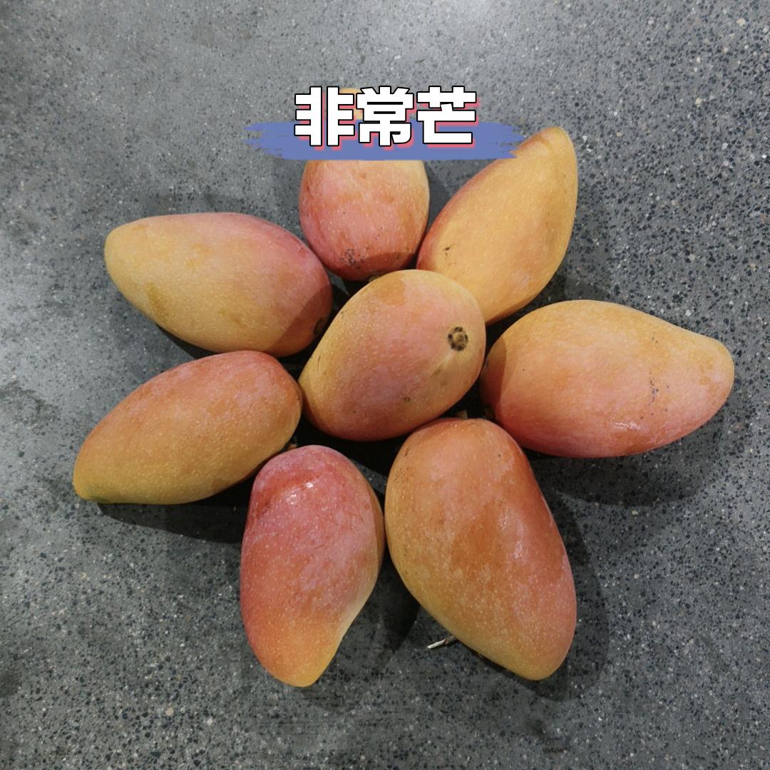 特价水果专业炸街