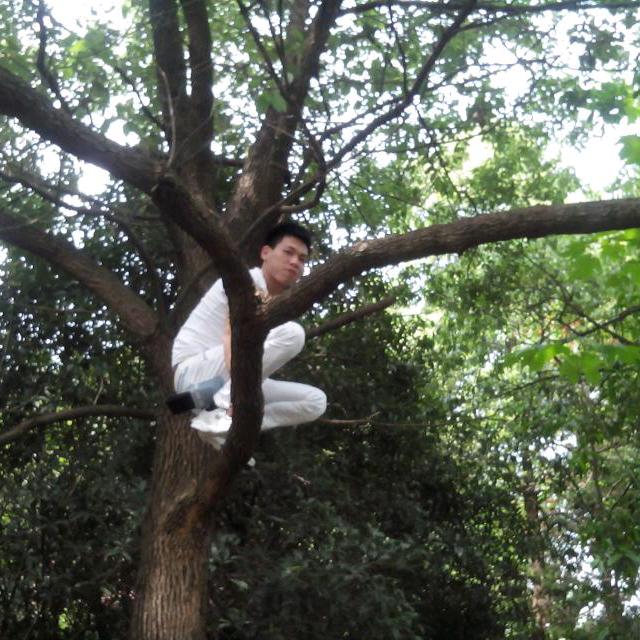 紫离 ベ夏殇
