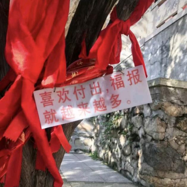 懂魔法的分析师（明缘）