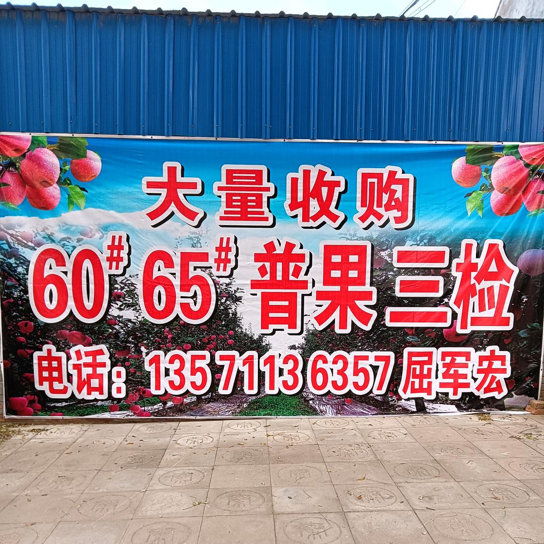 大展鸿图