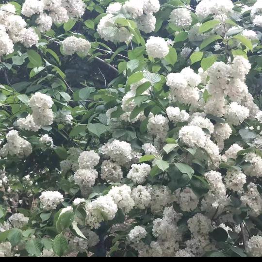欢乐好时光